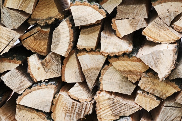 Firewood-Pickup-Kenosha