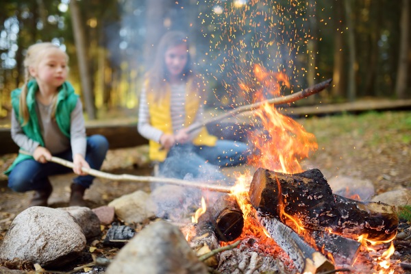 Firewood-for-Firepits-Kenosha