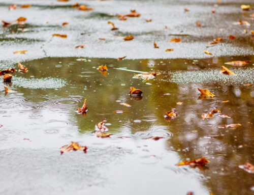 Protecting Your Asphalt from Fall’s Rainy Days in Wadsworth, IL