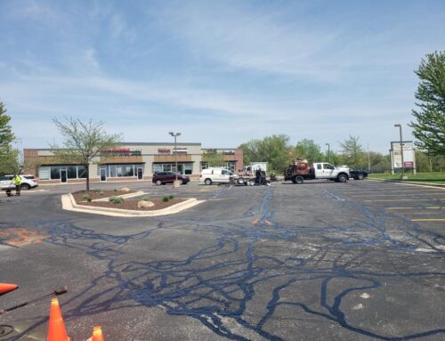 Sick of Bidding Out the Lot Every Year? Consider a Maintenance Plan